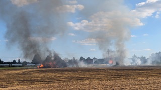 Feuer auf einem Feld