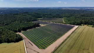 Die neue Agri-PV-Anlage in Walldürn