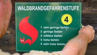 Waldbrandgefahr Stufe 1-5: Je trockener der Sommer, desto höher die Gefahrt von Bränden.