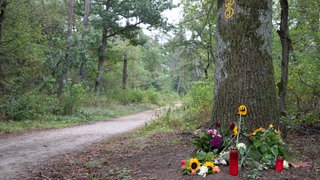 Kerzen und Blumen liegen an einem Baumstamm im Wald (Archivbild)