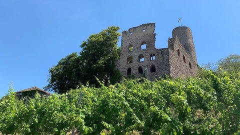 Die Strahlenburg in Schriesheim wurde um 1235 erbaut und wird zum Verkauf angeboten