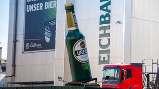 Eichbaum in Mannheim