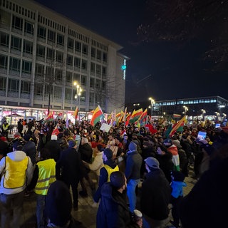 Man sieht viele Menschen mit Flaggen demonstrieren 