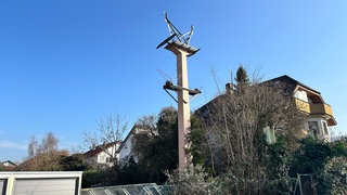 Betonpfeiler der Lorenseilbahn in Leimen