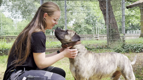 Tierpflegerin streichelt Hund