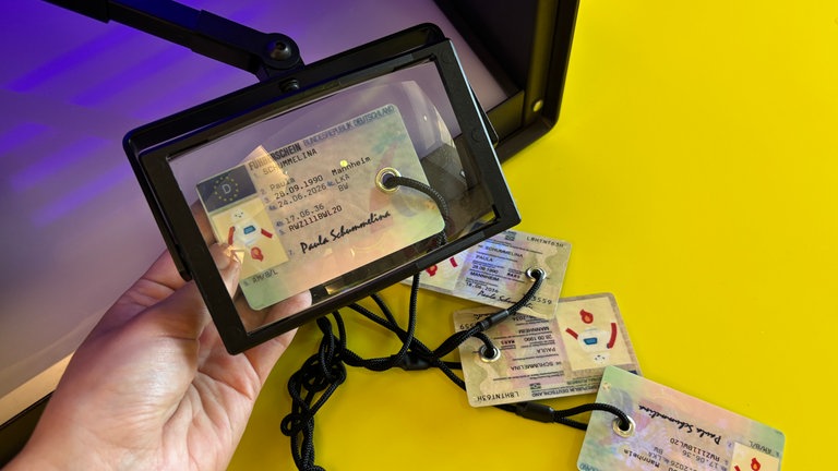 Ausstellungsstück der neuen Sonderausstellung im Technoseum - mehrere Personalausweise und Führerscheine