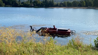 Boot auf dem Hemsbacher Wiesensee im Wasserpflanzen-Mäh-Einsatz