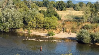 Ein Mann badet im Neckar bei Mannheim.