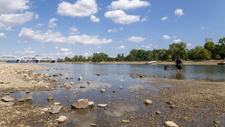 Niedriger Rheinpegel zwischen Mannheim und Ludwigshafen