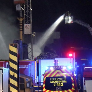 Die Feuerwehr löscht einen Brand im Mannheimer Industriehafen.