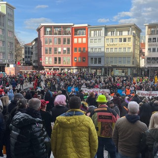 Faschingsumzug Stuttgart 2024