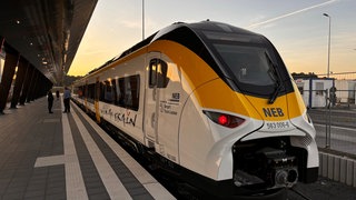 Der Akkuzug, von Tesla "Giga-Train" genannt, ähnelt auffällig dem Design der baden-württembergischen Nahverkehrsmarke "bwegt". 