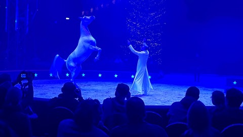 der "Pferdeflüsterer" Alex Giona beim Weltweihnachtscircus 2024