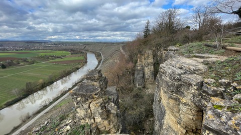 Blick von den Hessigheimer Felsengärten über den Neckar und die Weinberge.