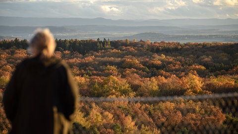 Eine Frau schaut vom Schönbuchturm in Richtung Schwäbische Alb.