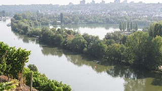 In Stuttgart fließt der Neckar direkt vor dem Max-Eyth-See vorbei.