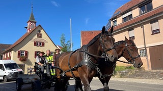 In Beuren (Kreis Esslingen) wurden die öffentlichen Mülleimer mit einem Pferdegespann geleert.