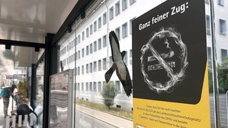 Ein Plakat informiert an einer Haltestelle in Stuttgart über den neuen Nichtraucherschutz in BW.
