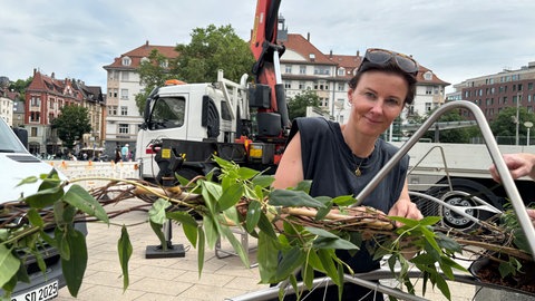 Gründerin Rosa Pöttinger auf dem Stuttgarter Marienplatz beim Aufbau der Ecotriis