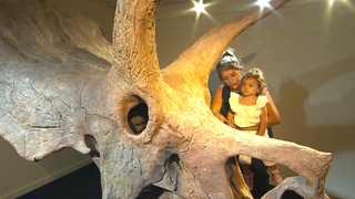 Ein Trizeratops-Schädel steht auf einem Podest im Urweltsteinbruch in Holzmaden. Im Hintegrund steht eine Mutter, die ihr Kind auf dem Arm hat.