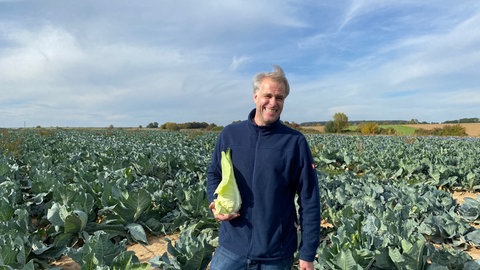 Filderspitzkraut
