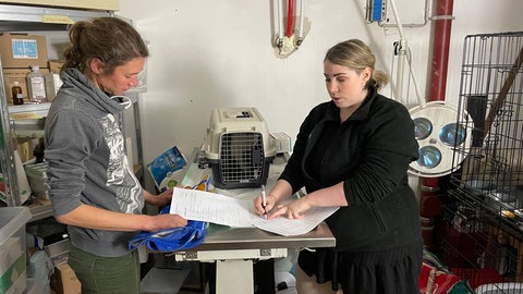 Seraina Lang und Svenja Große-Kleffmann kümmern sich um den Papierkram nach der Fangaktion auf dem Bauernhof in Eningen unter Achalm. Die Helferinnen haben drei Katzen gefangen. Sie werden behandelt, geimpft und kastriert.