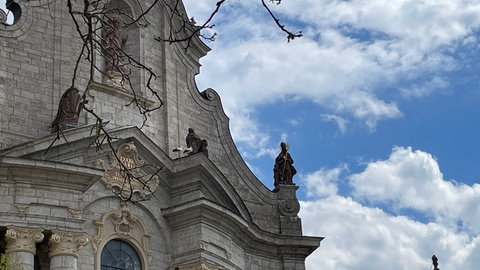 Überall haben Störche Nester auf dem Zwiefalter Münster gebaut. Sie ziehen dort ihre Jungen auf.