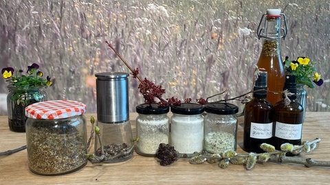 Knospenzucker oder eine Flasche mit Honig-Essig-Elixier aus Knospen sowie eine Pfeffermühle mit Walnussknospen. 