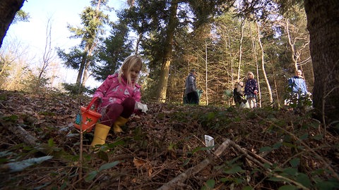 Ein Kind sammelt im Wald bei Grosselfingen Müll ein.