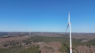 Eine Drohnenaufnahme zeigt sechs Windräder, die auf einer Waldfläche stehen. Sie gehören zum frisch eingeweihten Windpark bei Bingen.