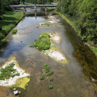 Blick von oben auf die Donau bei Sigmaringen. Große Kies- und Sandbänke ragen aus dem Fluss, der wegen des niedrigen Wasserstands nur noch schmale Wasserläufe bildet.