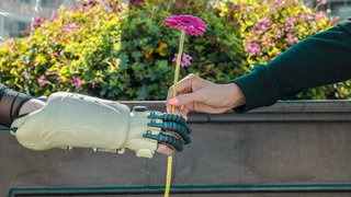 Eine Hand mit einer Orthese und eine Hand mit neonpinken Fingernägeln halten gemeinsam eine pinke Gerbera. Die Handorthese kommt von einem Unternehmen aus Ulm. Sie hilf Menschen, deren Hände gelähmt sind.