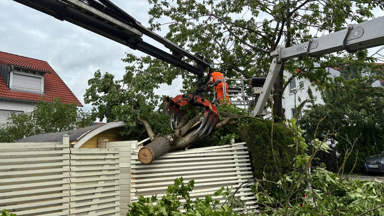Ein umgestürzter Baum liegt über einem Gartenzaun und einer Hütte. Er muss erst zersägt werden, bevor er herausgehoben werden kann. 