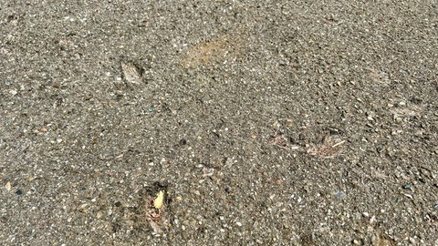 Drei Löcher im Asphalt einer Straße in Ulm Gögglingen-Donaustetten, die von roten Ziegeln verursacht wurden. Die Ziegel wurden von einem Tornado abgedeckt.