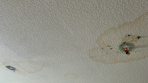 Mehrere Flecken an einer Decke im Haus der Familie Wache in Ulm Gögglingen-Donaustetten. Sie sind das Überbleibsel des vielen Wassers im Dachgeschoss, das von einem Tornado teilweise abgedeckt wurde.