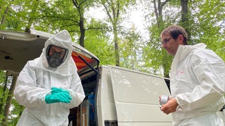 Die Brennhaare des Eichenprozessionsspinners können sich überall verfangen, deshalb müssen die Experten bei der Entfernung der Insekten am Waldfriedhof Aalen Schutzanzüge tragen.