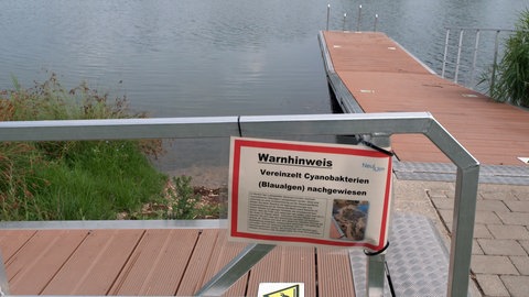 Warnschild an Badesee: Ein Hinweisschild am Badesee warnt Badegäste vor Blaualgen. Die Wasserqualität in EU-Badeseen wird regelmäßig kontrolliert. 