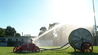 Ein Sprenkler bewässert einen Sportplatz. Viele Sportvereine haben mit der Trockenheit zu kämpfen. Sie müssen ihre Sportplätze oft mit Trinkwasser bewässern. Das kann sehr kostspielig sein.