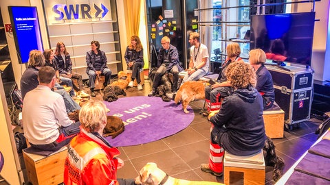 Hundebesuch im PopUp Studio