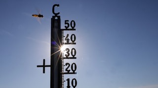 Ein Thermometer. Die extreme Hitze macht dem Körper zu schaffen. Ein Hitzschlag kann laut einem Mediziner tödlich enden.