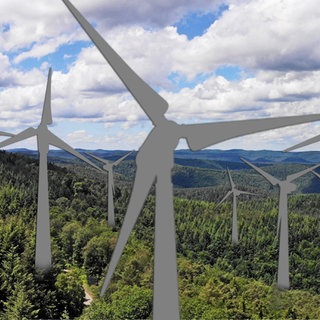 Windräder im Pfälzerwald