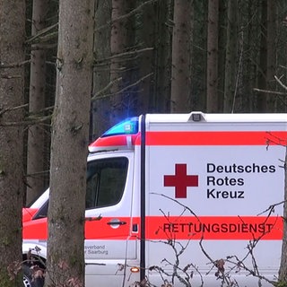 Rettungswagen hinter Bäumen nach Unfall eines Mannes beim Aufräumen nach Sturmschäden durch "Sabine"