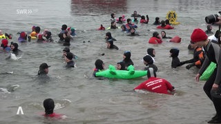 Personen schwimmen im Rhein