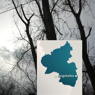 Rheinland-Pfalz Wetter vom 13.2.2025
