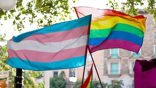 Eine LGBTIQ-Fahne und eine Transgenderfahne nebeneinander. In Rheinland-Pfalz kommt es zu mehr Angriffen auf queere Menschen. Laut Polizei und Vereinen liegt die Dunkelziffer noch dazu um ein vielfaches höher. (Symbolbild)