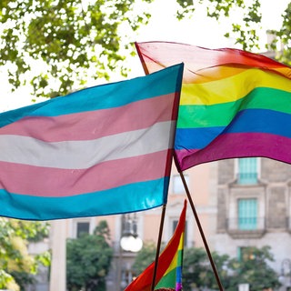 Eine LGBTIQ-Fahne und eine Transgenderfahne nebeneinander. In Rheinland-Pfalz kommt es zu mehr Angriffen auf queere Menschen. Laut Polizei und Vereinen liegt die Dunkelziffer noch dazu um ein vielfaches höher. (Symbolbild)