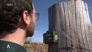 Mann steht vor elektronischer Box die an Baumstumpf hängt
