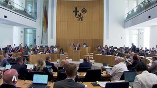 Der rheinland-pfälzische Landtag