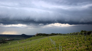 Gewitterwolken über einem Weinberg (Archiv) - Mit der Hitze kommen Gewitter