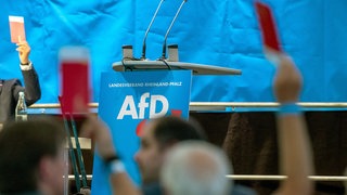 AfD-Mitglieder sollen in RLP künftig vom Staatsdienst ausgeschlossen werden, Staatsrechtler halten dies für nicht rechtens.